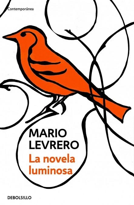 NOVELA LUMINOSA, LA | 9788499080260 | VARLOTTA LEVRERO,JORGE MARIO | Llibreria La Gralla | Librería online de Granollers